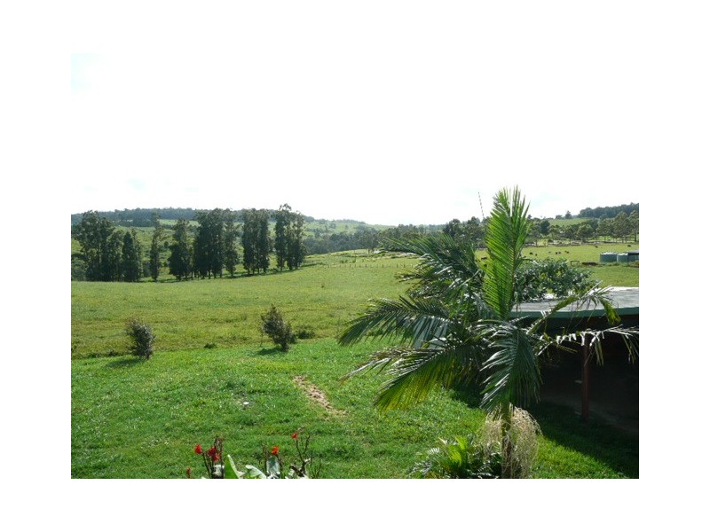 RN 20 Fox, Yungaburra QLD 4884