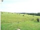RN 20 Fox, Yungaburra QLD 4884