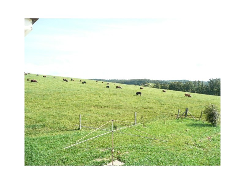 RN 20 Fox, Yungaburra QLD 4884