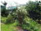 Herberton QLD 4887