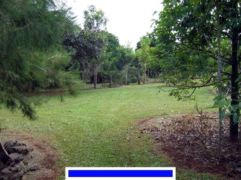Yungaburra QLD 4884