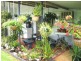 Yungaburra QLD 4884