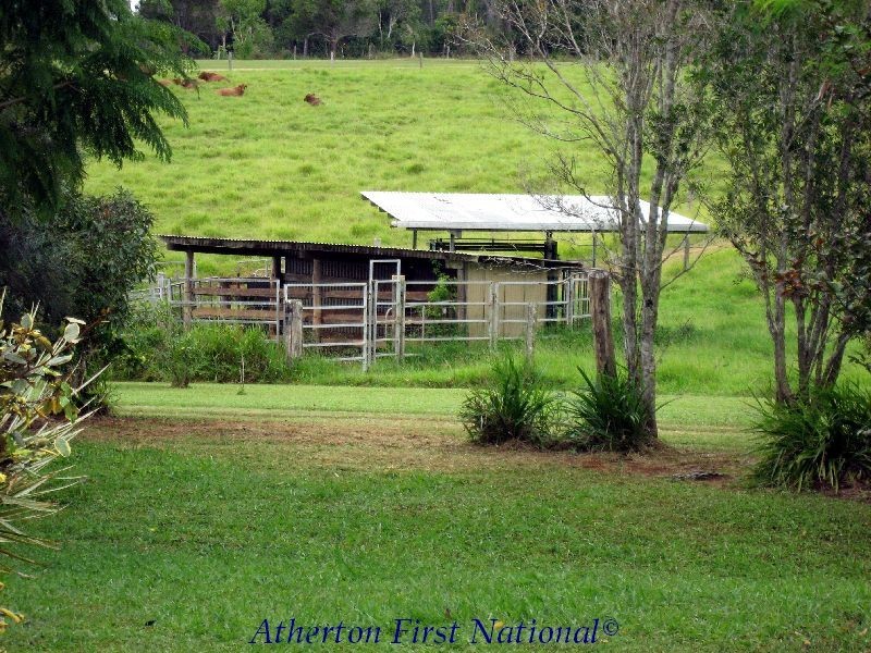 Yungaburra QLD 4884