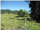 Millaa Millaa QLD 4886