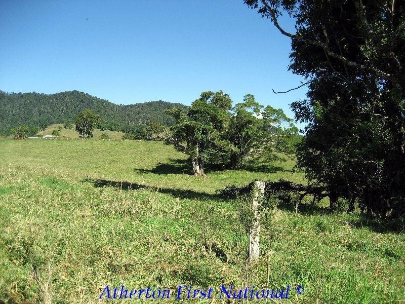 Millaa Millaa QLD 4886