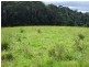 Millaa Millaa QLD 4886