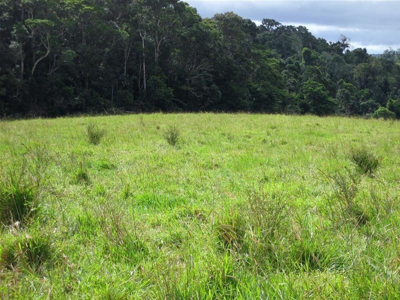 Millaa Millaa QLD 4886