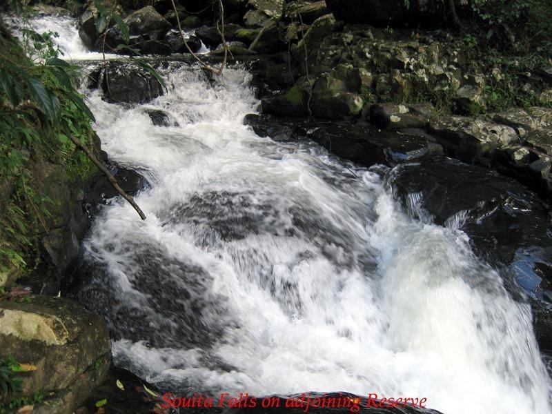 Millaa Millaa QLD 4886