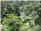 Millaa Millaa QLD 4886