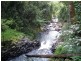 Millaa Millaa QLD 4886