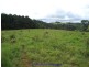 Millaa Millaa QLD 4886