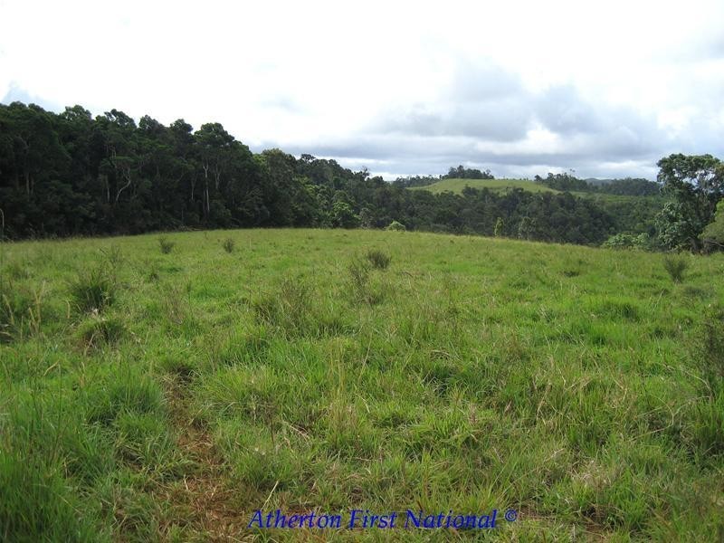 Millaa Millaa QLD 4886