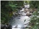 Millaa Millaa QLD 4886