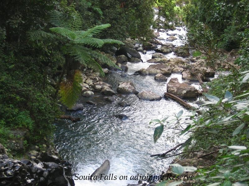 Millaa Millaa QLD 4886