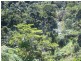 Millaa Millaa QLD 4886