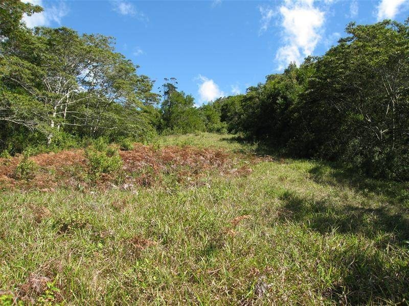 Upper Barron QLD 4883