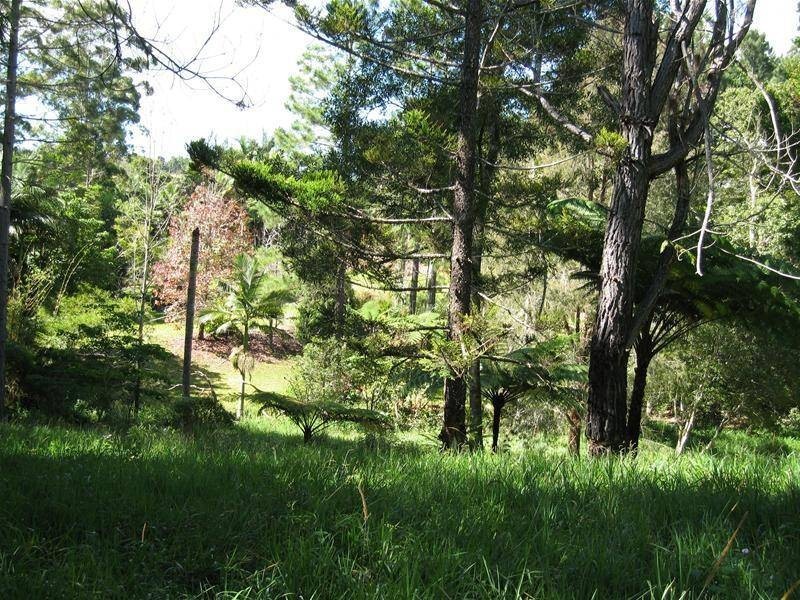 Upper Barron QLD 4883