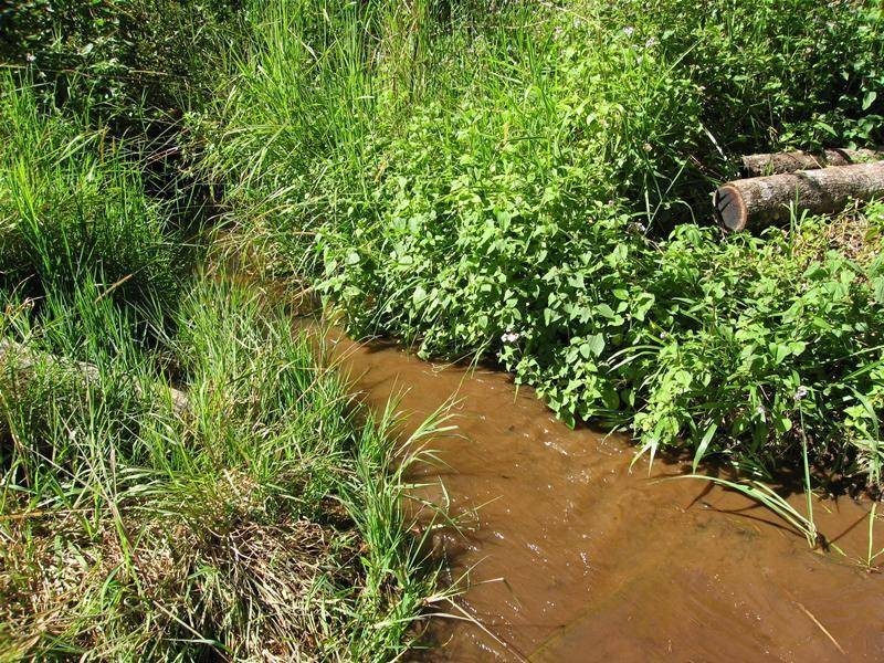 Upper Barron QLD 4883