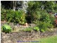 Yungaburra QLD 4884