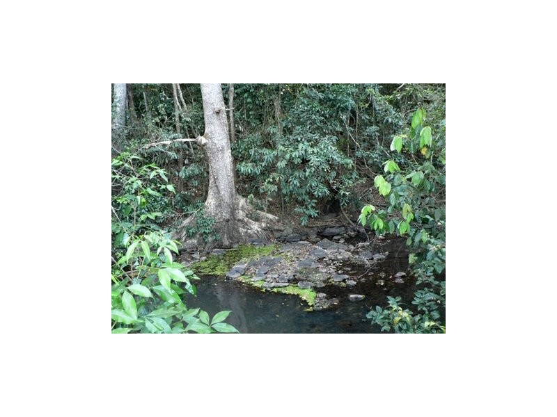 Yungaburra QLD 4884