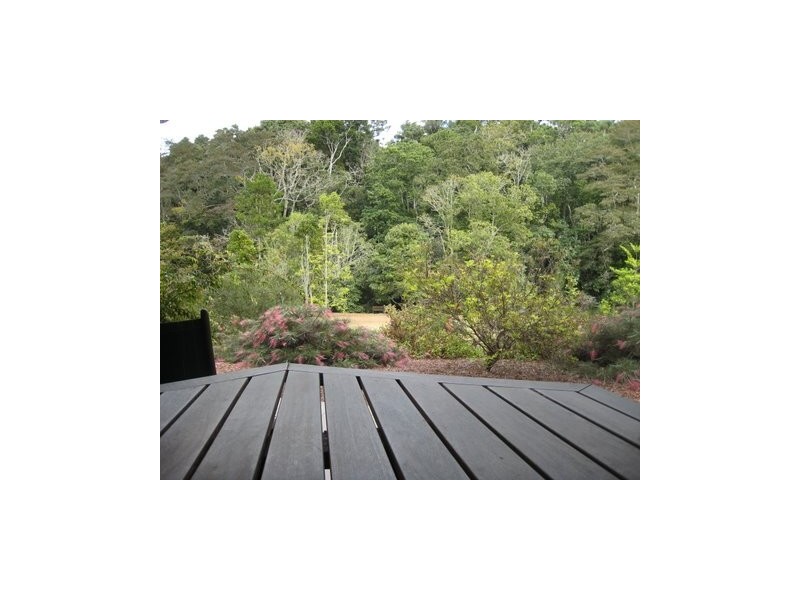 Yungaburra QLD 4884
