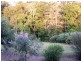 Yungaburra QLD 4884