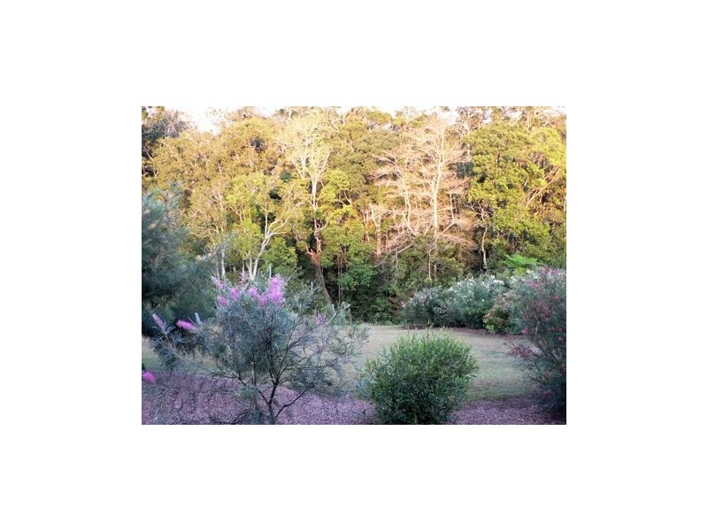 Yungaburra QLD 4884
