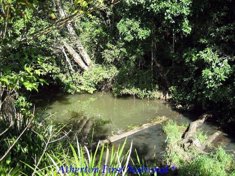 Yungaburra QLD 4884