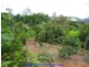 Tolga QLD 4882