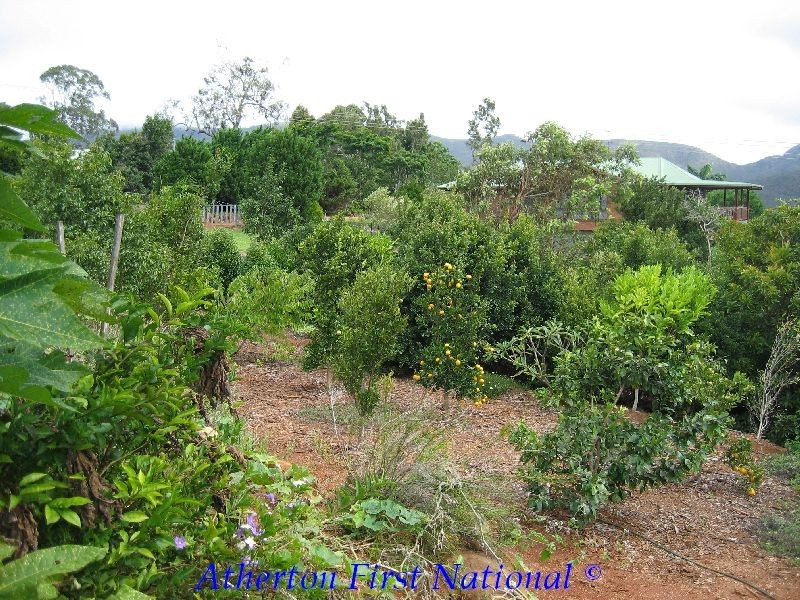 Tolga QLD 4882