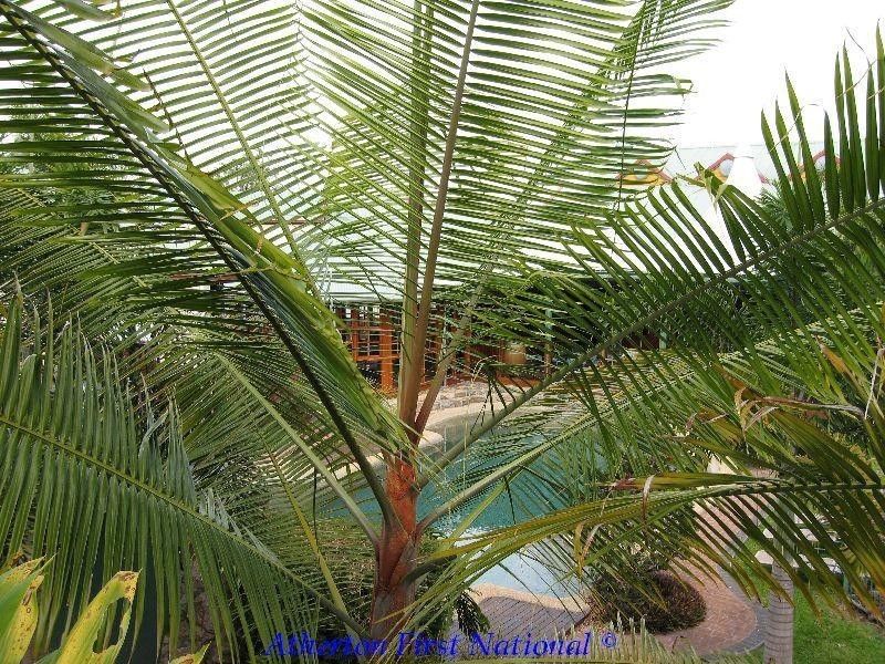 Tinaroo QLD 4872