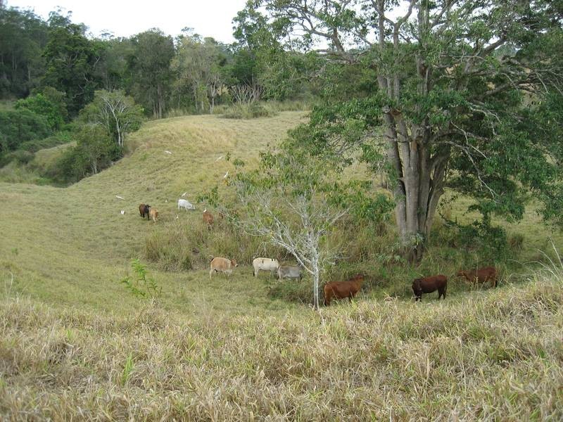 Atherton QLD 4883