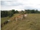 Atherton QLD 4883