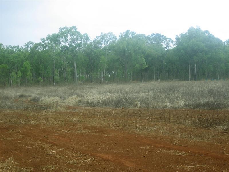 Tolga QLD 4882