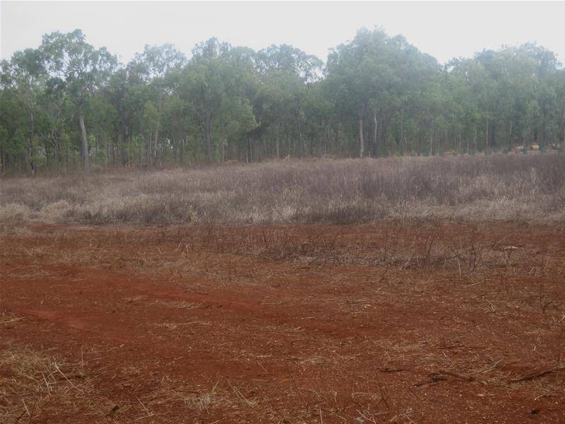 Tolga QLD 4882