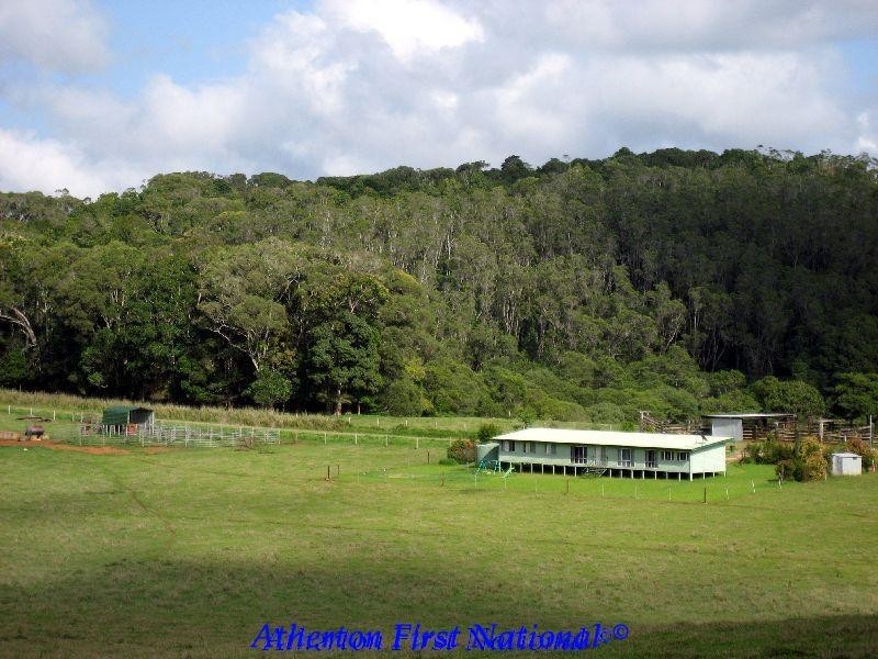 Yungaburra QLD 4884