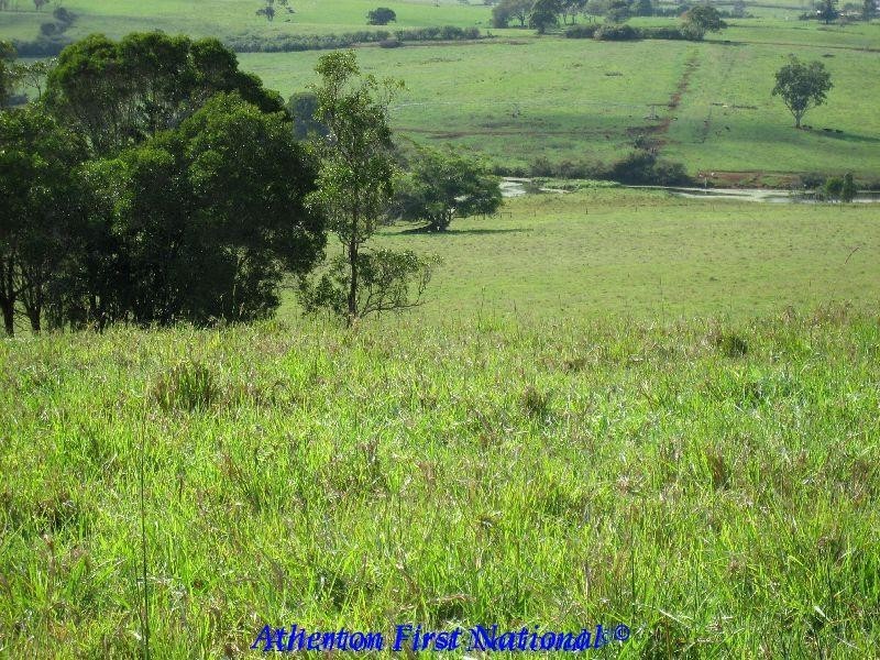 Yungaburra QLD 4884