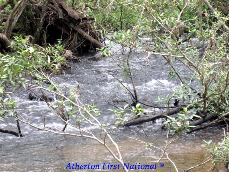 Atherton QLD 4883