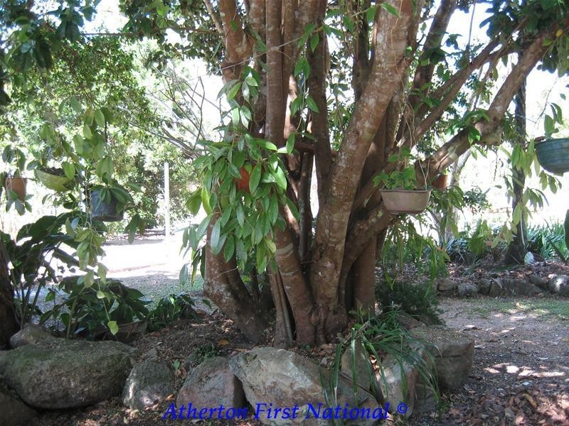 Atherton QLD 4883
