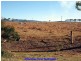 Tolga QLD 4882