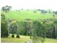 17 McLean Ridge Road, Yungaburra QLD 4884