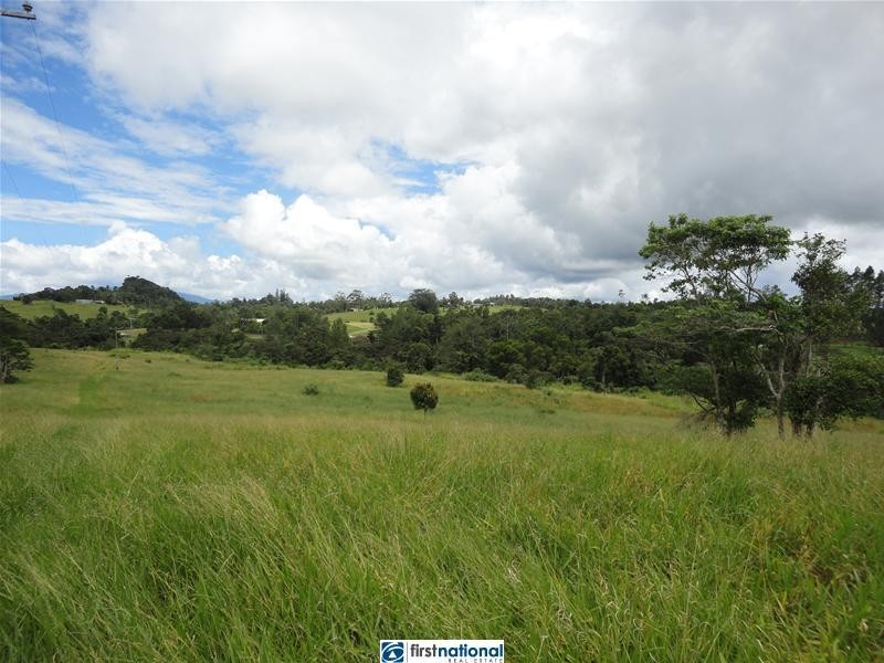 Millaa Malanda Road, Malanda QLD 4885