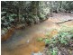Millaa Malanda Road, Malanda QLD 4885