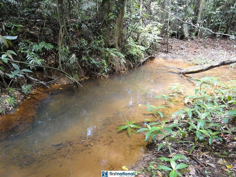 Millaa Malanda Road, Malanda QLD 4885
