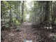 Millaa Malanda Road, Malanda QLD 4885