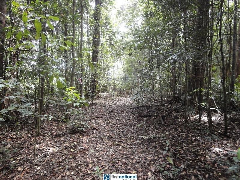 Millaa Malanda Road, Malanda QLD 4885