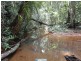Millaa Malanda Road, Malanda QLD 4885