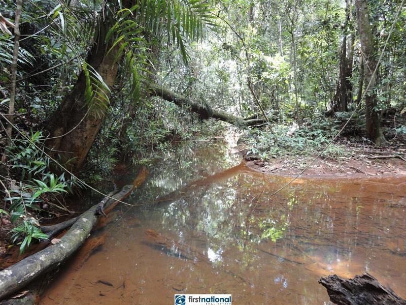 Millaa Malanda Road, Malanda QLD 4885