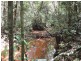 Millaa Malanda Road, Malanda QLD 4885