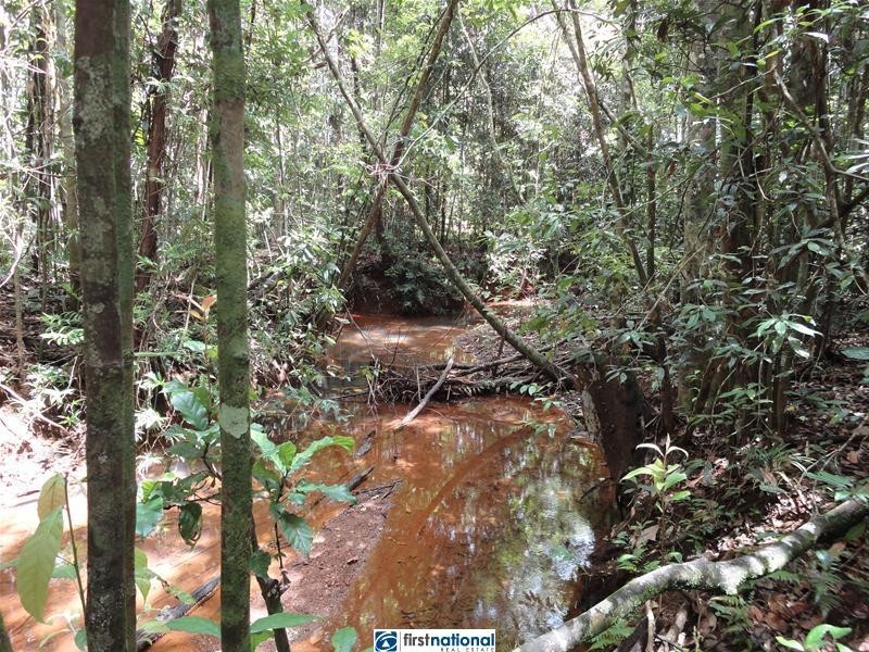 Millaa Malanda Road, Malanda QLD 4885